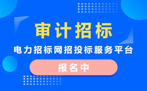 跟踪审计招标