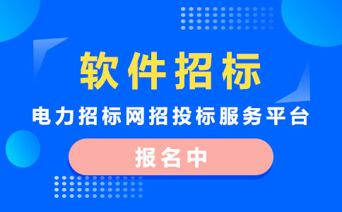 软件招标