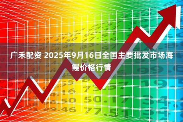 广禾配资 2025年9月16日全国主要批发市场海鳗价格行情