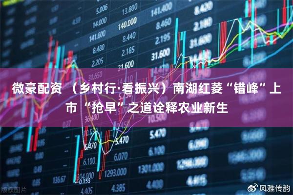 微豪配资 （乡村行·看振兴）南湖红菱“错峰”上市 “抢早”之道诠释农业新生