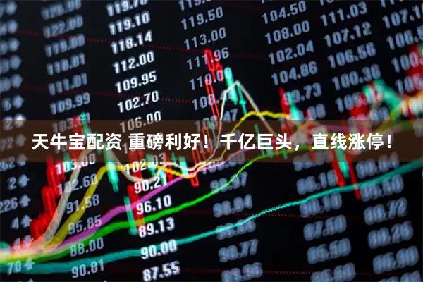天牛宝配资 重磅利好！千亿巨头，直线涨停！