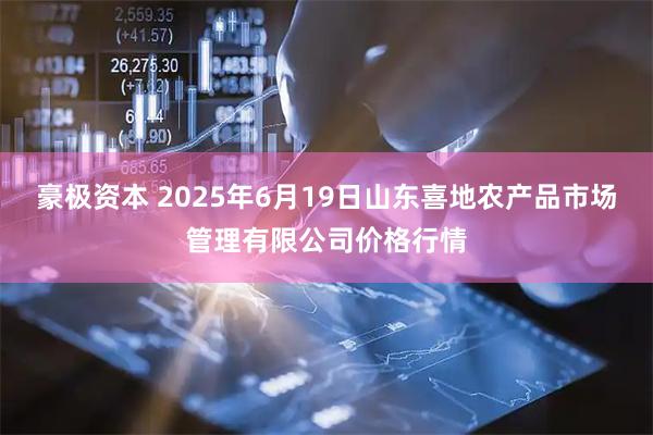 豪极资本 2025年6月19日山东喜地农产品市场管理有限公司价格行情