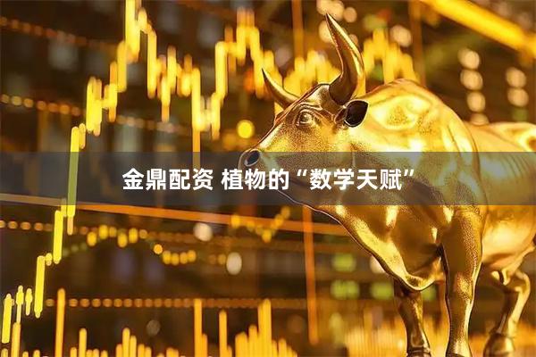 金鼎配资 植物的“数学天赋”