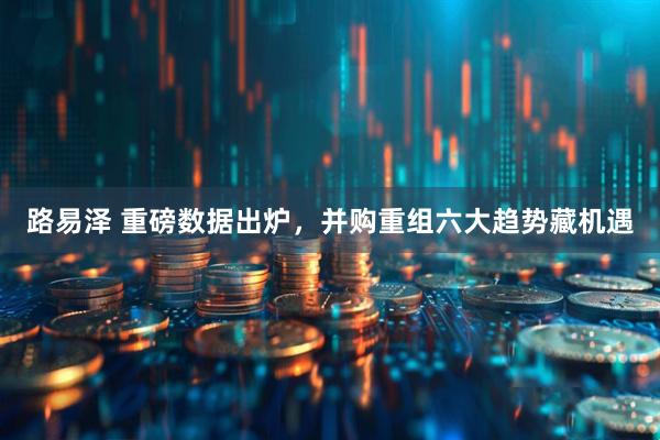 路易泽 重磅数据出炉，并购重组六大趋势藏机遇