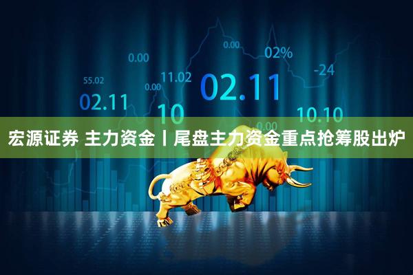 宏源证券 主力资金丨尾盘主力资金重点抢筹股出炉