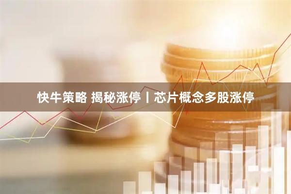 快牛策略 揭秘涨停丨芯片概念多股涨停
