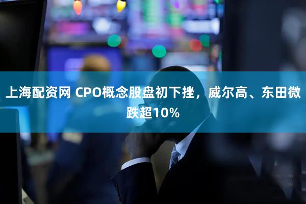 上海配资网 CPO概念股盘初下挫，威尔高、东田微跌超10%