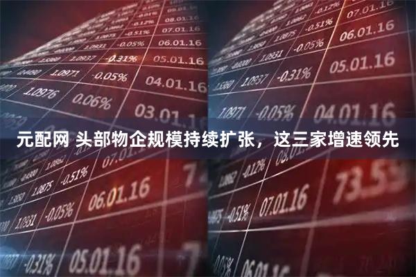 元配网 头部物企规模持续扩张，这三家增速领先