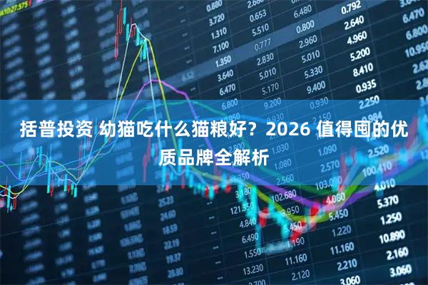 括普投资 幼猫吃什么猫粮好？2026 值得囤的优质品牌全解析