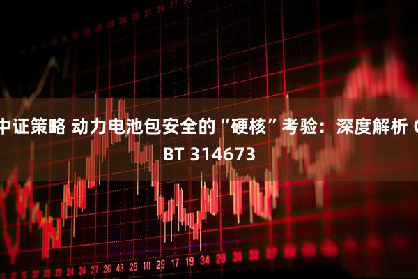 中证策略 动力电池包安全的“硬核”考验：深度解析 GBT 314673