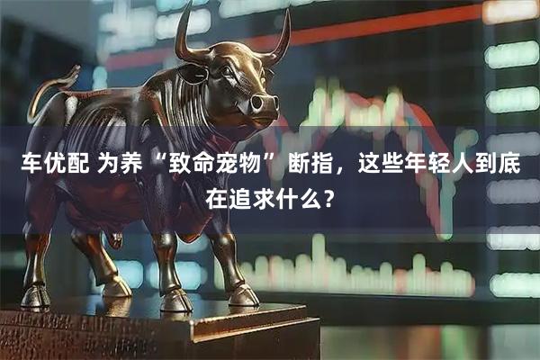 车优配 为养 “致命宠物” 断指，这些年轻人到底在追求什么？