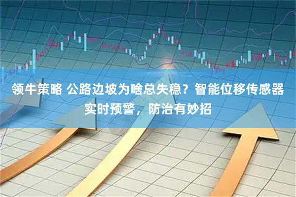 领牛策略 公路边坡为啥总失稳？智能位移传感器实时预警，防治有妙招