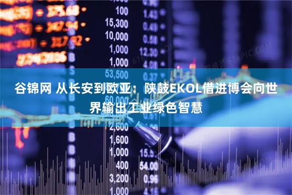 谷锦网 从长安到欧亚：陕鼓EKOL借进博会向世界输出工业绿色智慧